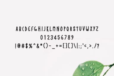 Be the Change Font by FontCove — Script Handwritten Font — thumbnail 4