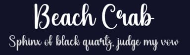 Beach Crab by Andi Moz — Script Handwritten Font — thumbnail 2