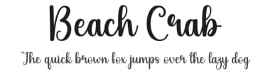 Beach Crab by Andi Moz — Script Handwritten Font — thumbnail 1
