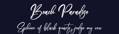 Beach Paradise by Letterena Studios — Script Handwritten Font — thumbnail 2