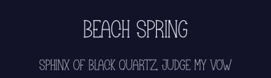Beach Spring by Scratchones — Script Handwritten Font — thumbnail 2