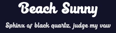 Beach Sunny by Eknoji Studio — Script Handwritten Font — thumbnail 2