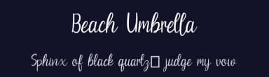 Beach Umbrella by Rvandtype — Script Handwritten Font — thumbnail 2