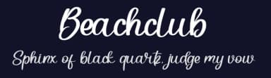 Beachclub by Etik Fatimah — Script Handwritten Font — thumbnail 2