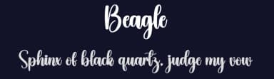 Beagle by Scratchones — Script Handwritten Font — thumbnail 2