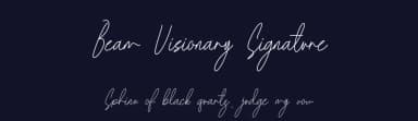 Beam Visionary Signature by ToniStudio — Script Handwritten Font — thumbnail 2