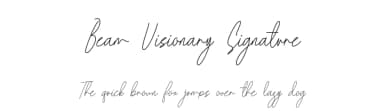 Beam Visionary Signature by ToniStudio — Script Handwritten Font — thumbnail 1