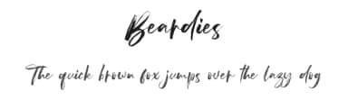 Beardies by Vz Type — Script Handwritten Font — thumbnail 1