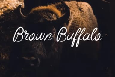 Beast Fantasia Font by Boriesbechker — Script Handwritten Font — thumbnail 2