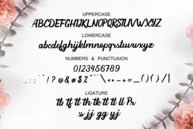 Beathy Font by Saber Studio — Script Handwritten Font — thumbnail 8