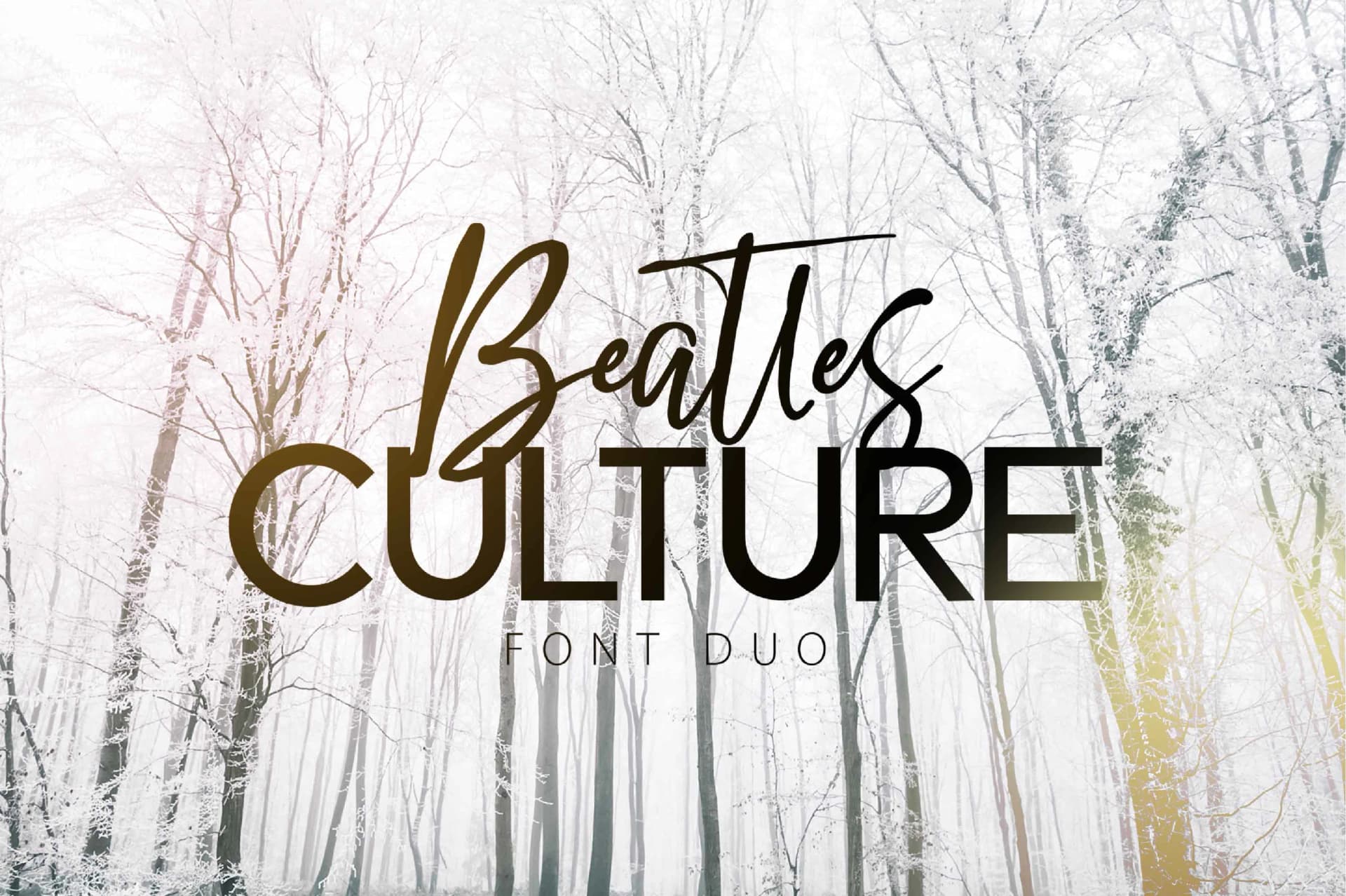 Beatles Culture Font by Olexstudio — Script Handwritten Font