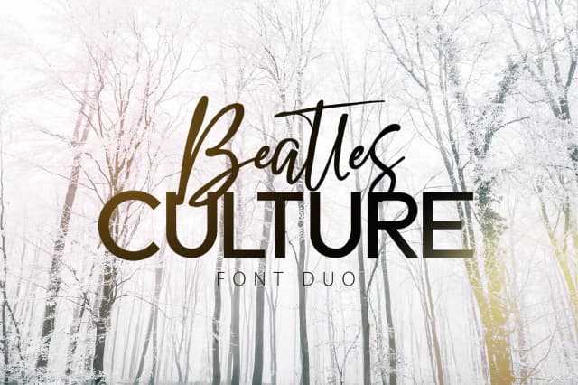 Beatles Culture Font by Olexstudio — Script Handwritten Font