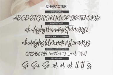 Beatles Culture Font by Olexstudio — Script Handwritten Font — thumbnail 6