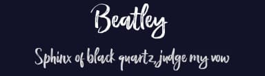 Beatley by Debut Studio — Script Handwritten Font — thumbnail 2