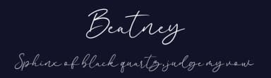 Beatney by Blankids — Script Handwritten Font — thumbnail 2
