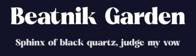 Beatnik Garden by Letterena Studios — Serif Font — thumbnail 2