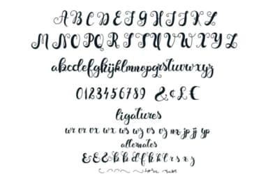 Beautiful Dream Font by Illustrator Guru — Script Handwritten Font — thumbnail 5