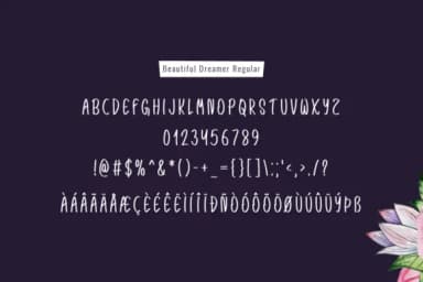 Beautiful Dreamer Font by Shattered Notion — Script Handwritten Font — thumbnail 6