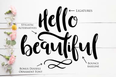Beautiful Font by Kylie Ellway — Script Handwritten Font — thumbnail 4