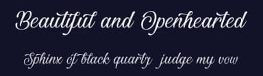 Beautiful and Openhearted by Cat.B — Script Handwritten Font — thumbnail 2