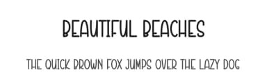 Beautiful Beaches by Andi Moz — Script Handwritten Font — thumbnail 1