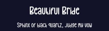 Beautiful Bride by Andi Moz — Script Handwritten Font — thumbnail 2