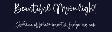 Beautiful Moonlight by Fargun Studio — Script Handwritten Font — thumbnail 2