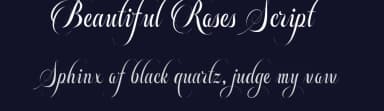 Beautiful Roses Script by Blankids — Script Handwritten Font — thumbnail 2