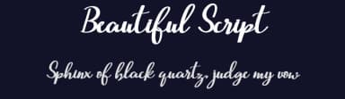 Beautiful Script by Mr Letters — Script Handwritten Font — thumbnail 2