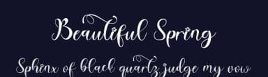Beautiful Spring by Yoga Letter — Script Handwritten Font — thumbnail 2