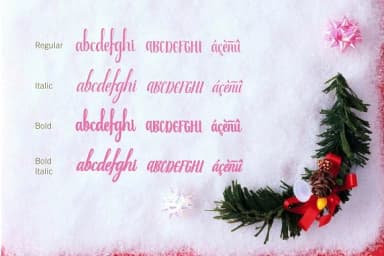 Beauty Atok Font by Olexstudio — Script Handwritten Font — thumbnail 3