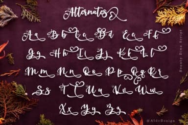 Beauty Dina Font by aldedesign — Script Handwritten Font — thumbnail 8