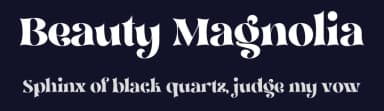 Beauty Magnolia by Sansakerta — Serif Font — thumbnail 2