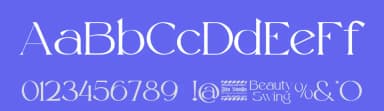 Beauty Swing by Din Studio — Serif Font — thumbnail 3