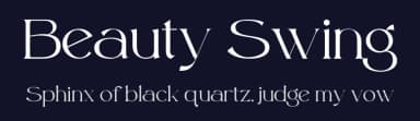Beauty Swing by Din Studio — Serif Font — thumbnail 2