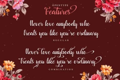 Beautyface Script Font by riversidetypefoundry — Script Handwritten Font — thumbnail 4