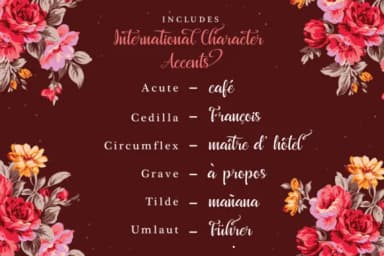 Beautyface Script Font by riversidetypefoundry — Script Handwritten Font — thumbnail 5