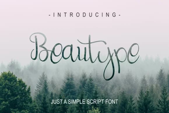 Beautype Font by Omotu — Script Handwritten Font