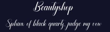 Beautyshop by Andi Moz — Script Handwritten Font — thumbnail 2
