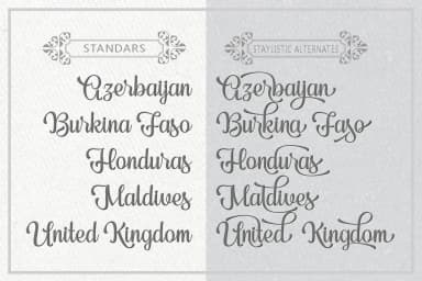 Bedfore Script Font by Lettersams — Script Handwritten Font — thumbnail 5