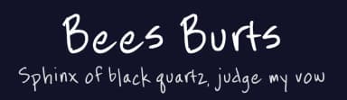 Bees Burts by FontPanda — Script Handwritten Font — thumbnail 2