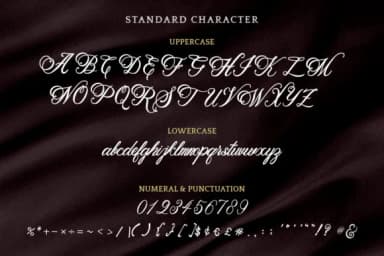 Beethoven Syinthesa Font by Kotak Kuning Studio — Script Handwritten Font — thumbnail 4