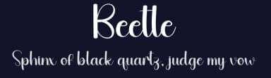 Beetle by Andi Moz — Script Handwritten Font — thumbnail 2