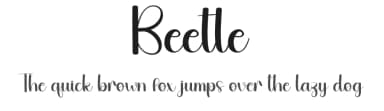 Beetle by Andi Moz — Script Handwritten Font — thumbnail 1