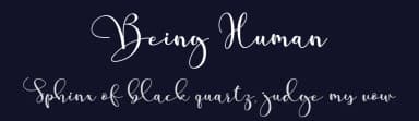 Being Human by Sarif Letter — Script Handwritten Font — thumbnail 2
