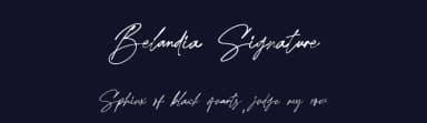 Belandia Signature by MJB Letters — Script Handwritten Font — thumbnail 2