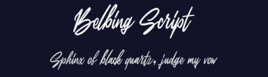 Belbing Script by Colative Studio — Script Handwritten Font — thumbnail 2
