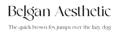 Belgan Aesthetic by Handpik — Serif Font — thumbnail 1