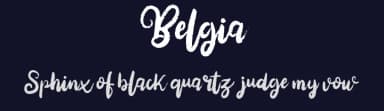 Belgia by Vunira Design — Script Handwritten Font — thumbnail 2