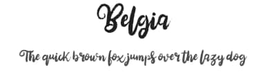 Belgia by Vunira Design — Script Handwritten Font — thumbnail 1